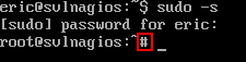 Sudo Up