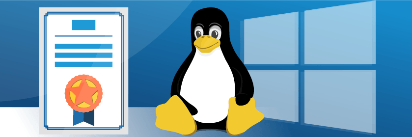 How to Make an Offline Root Certificate Authority for Windows PKI in WSL